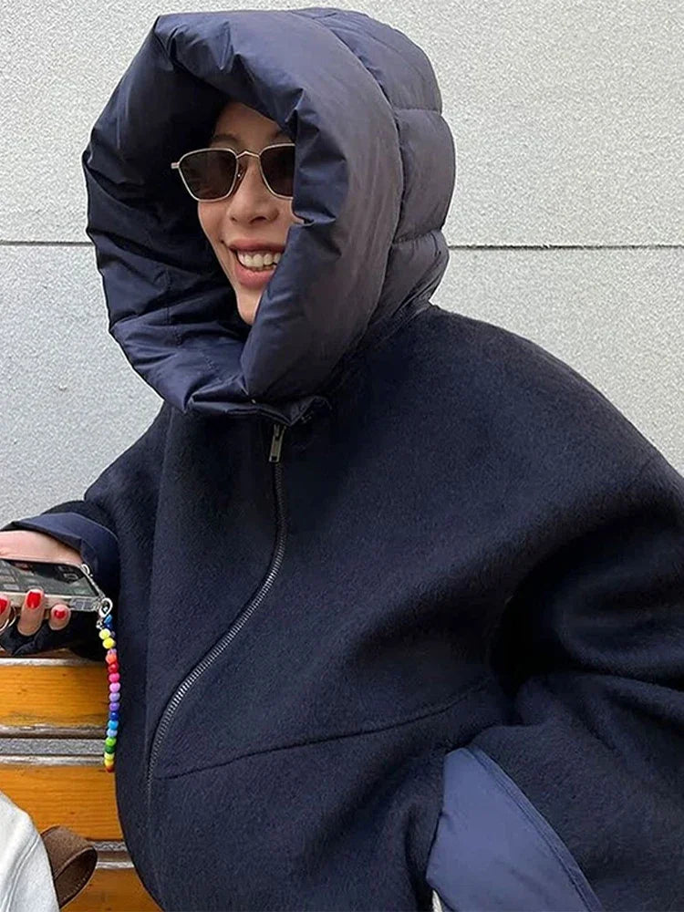 Veste bicolore à capuche Prune